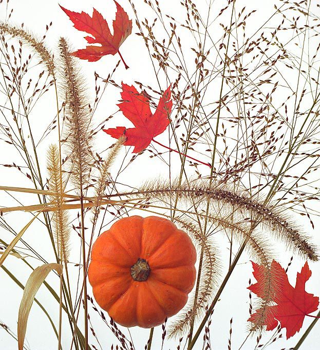 Produktfotos - Elisabeth Groh - Jena - Fotografin